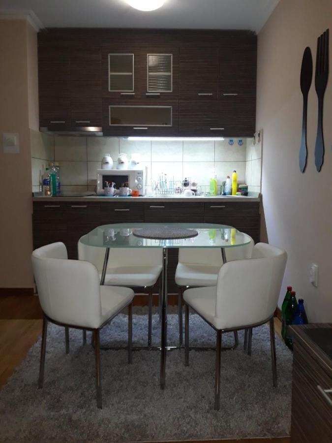 Apartman Jovanovic Vrnjačka Banja エクステリア 写真