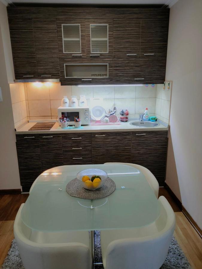 Apartman Jovanovic Vrnjačka Banja エクステリア 写真