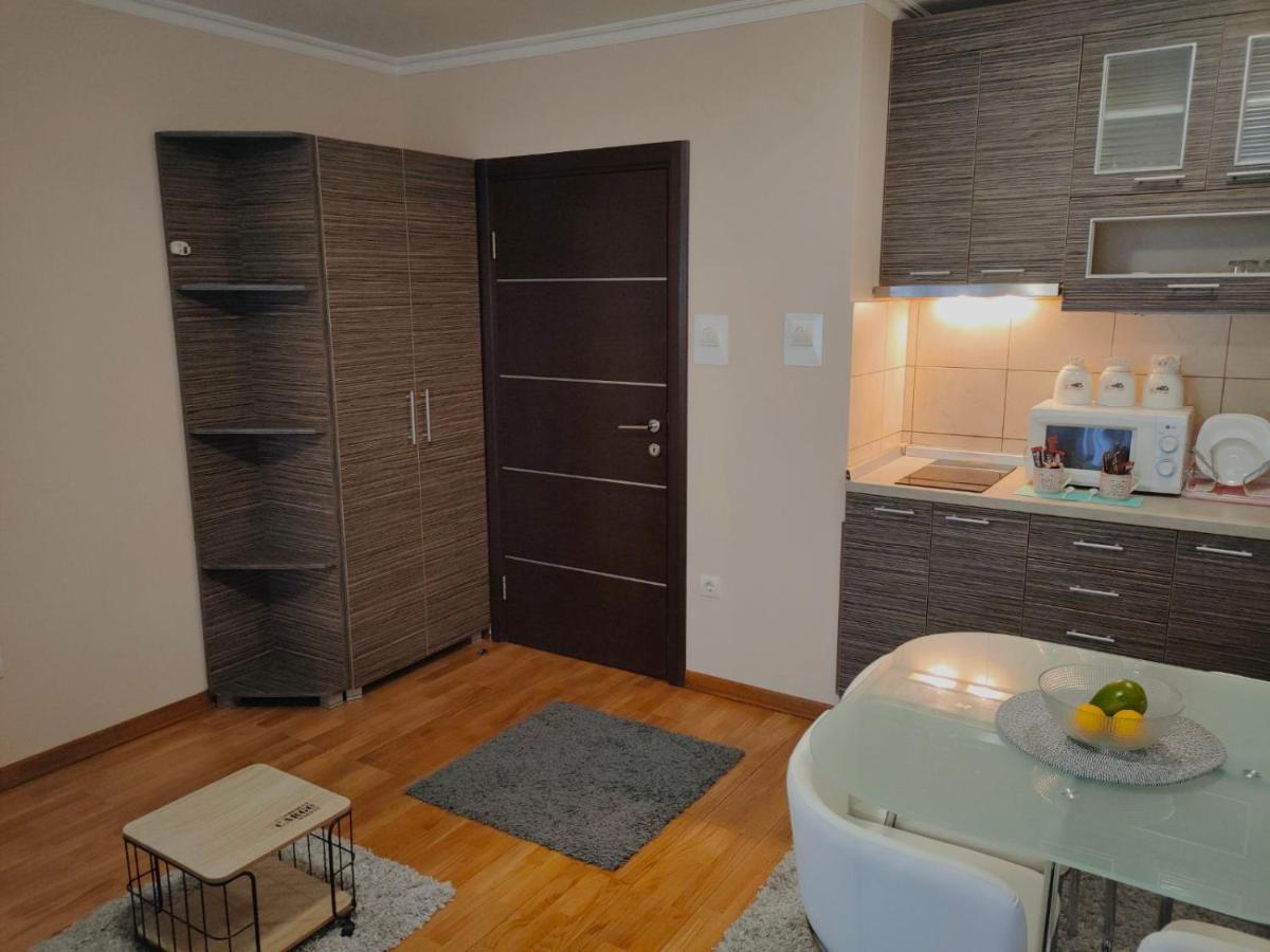 Apartman Jovanovic Vrnjačka Banja エクステリア 写真